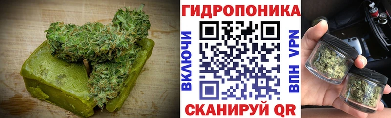 Canna-Cookies конопля  Ясный 