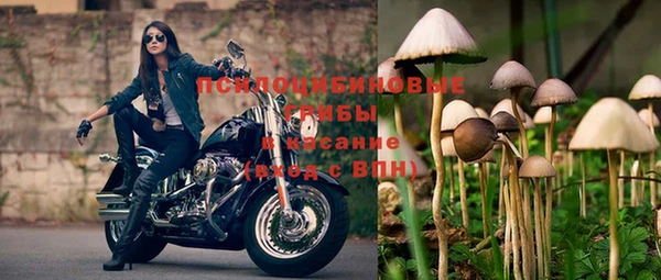 альфа пвп Заволжье