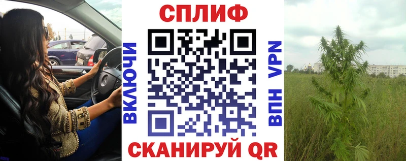 Конопля SATIVA & INDICA  магазин  наркотиков  Ясный 